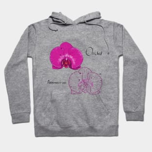 Orchid (Phalaenopsis sp) flower illustration Hoodie